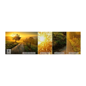 Campione di Fotomurale Premium Sand - Pomeriggio di miele - Paesaggio, Strada sterrata, Prato - 100x30 cm