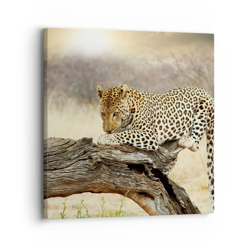 Quadro su tela - Stampe su Tela - Vado per la mia strada - 30x30 cm