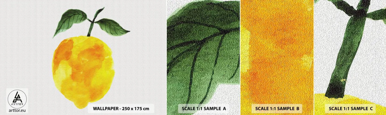 Campione Di Fotomurale Standard Eco - Scoprire il sapore del sole - Limone, Cucina, Frutta - 100x30 cm
