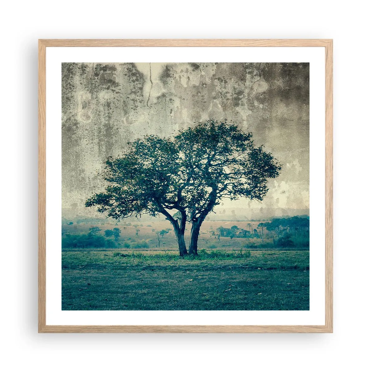Poster in cornice rovere chiaro - Un melo su un prato blu? - 60x60 cm