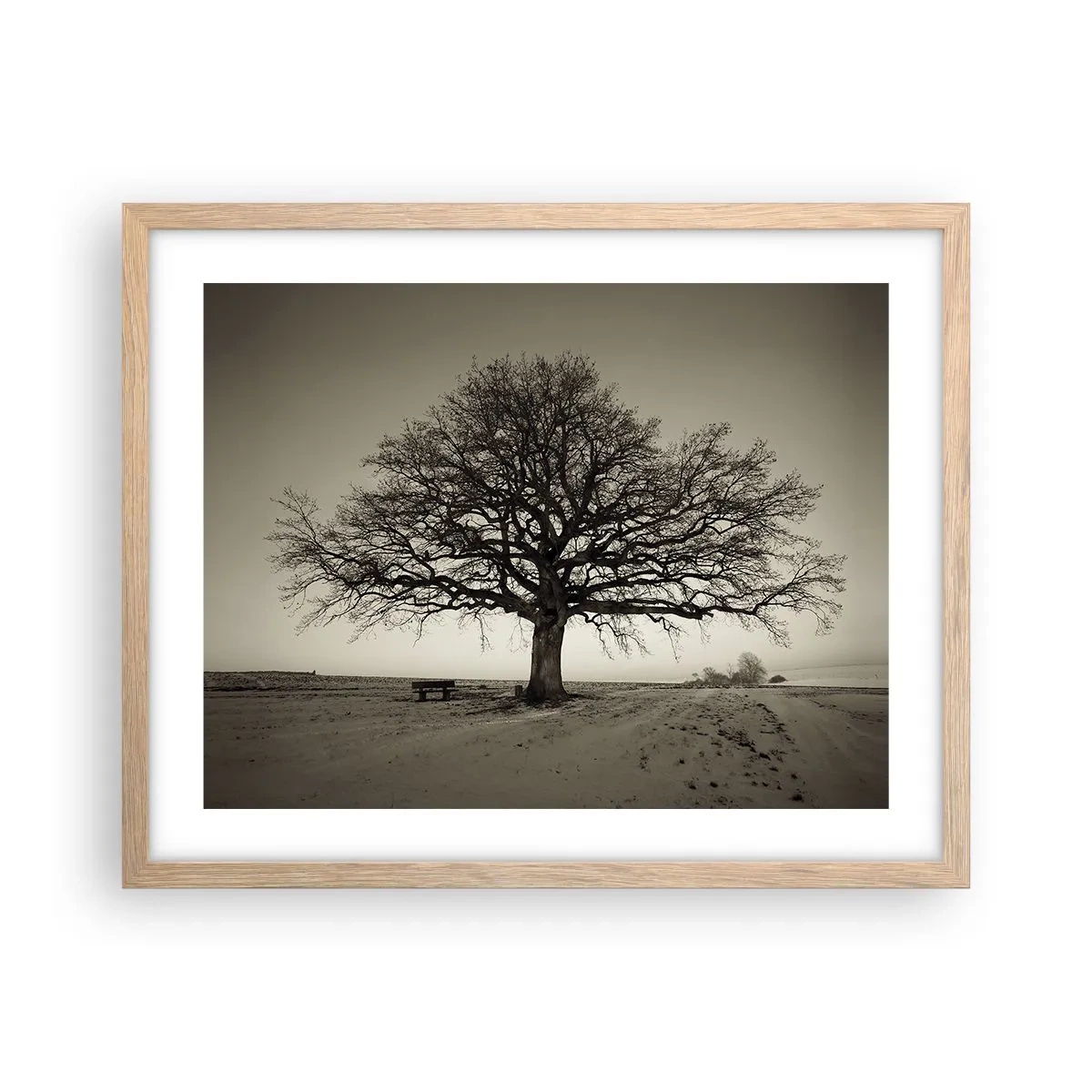 Poster in cornice rovere chiaro - Da qui all'eternità - 50x40 cm