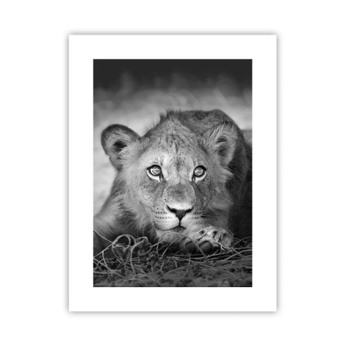 Poster - Cucciolo reale - 30x40 cm
