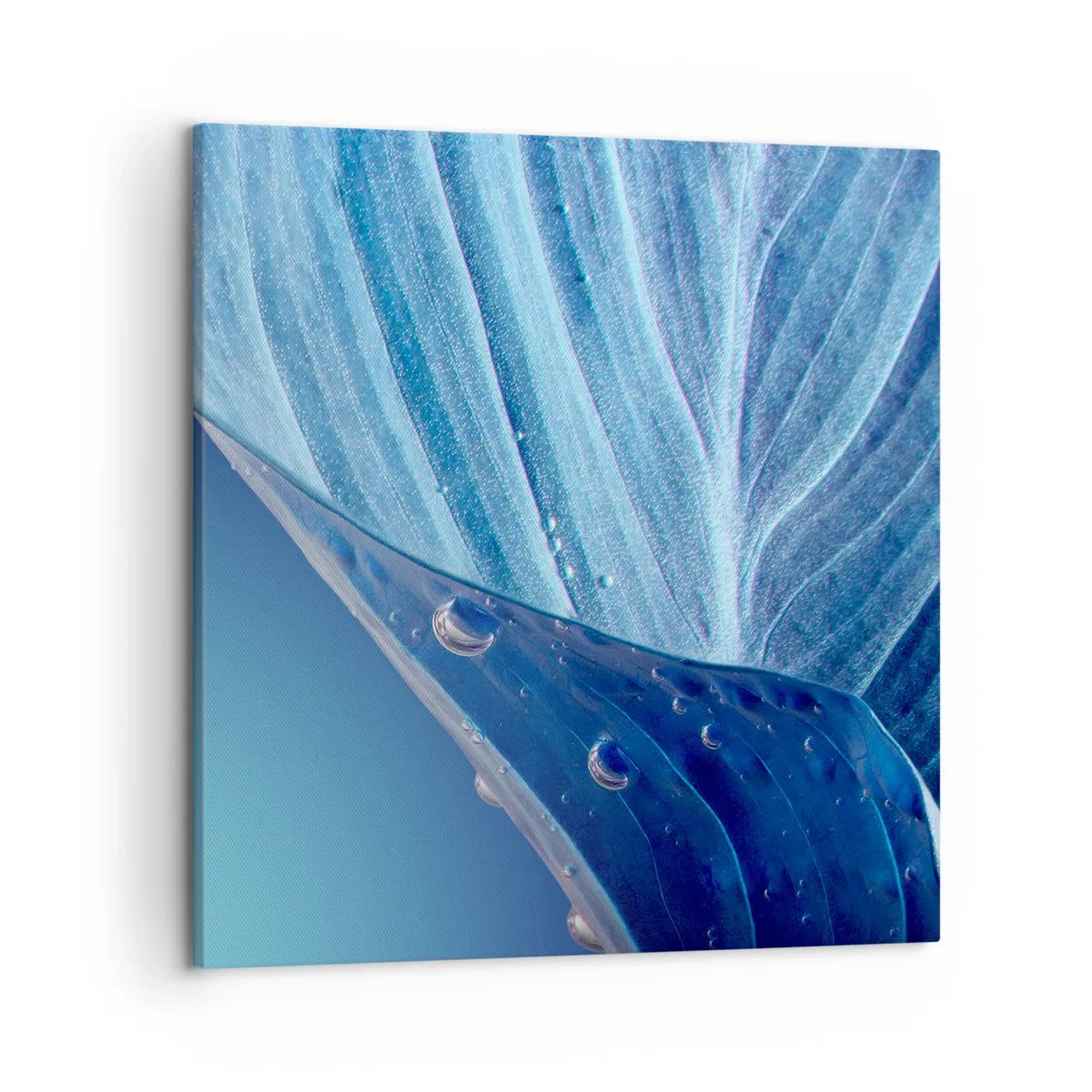 Quadro su tela - Stampe su Tela - Gocce di blu nascoste - 50x50 cm