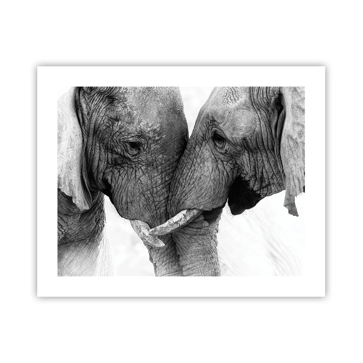 Poster - Dichiarazione sincera - 50x40 cm