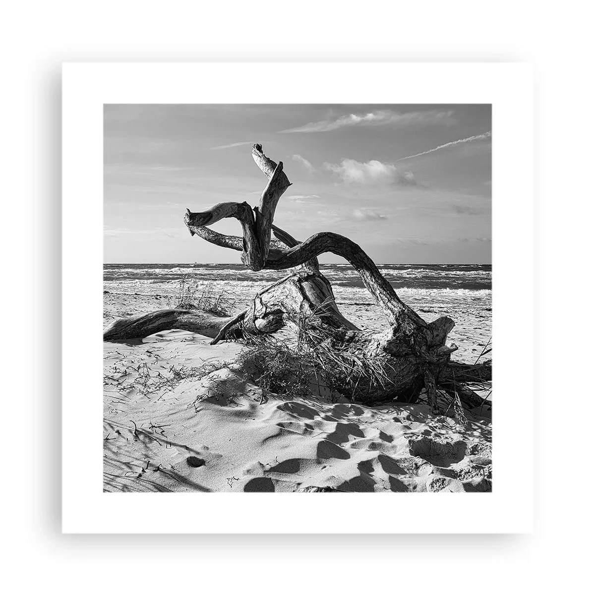 Poster - Scolpito dal mare - 40x40 cm