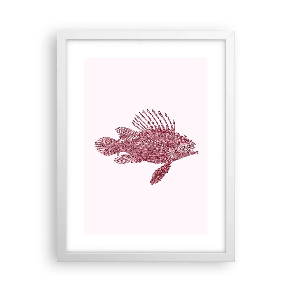 Poster in cornice bianca - Abitante di mari esotici - 30x40 cm
