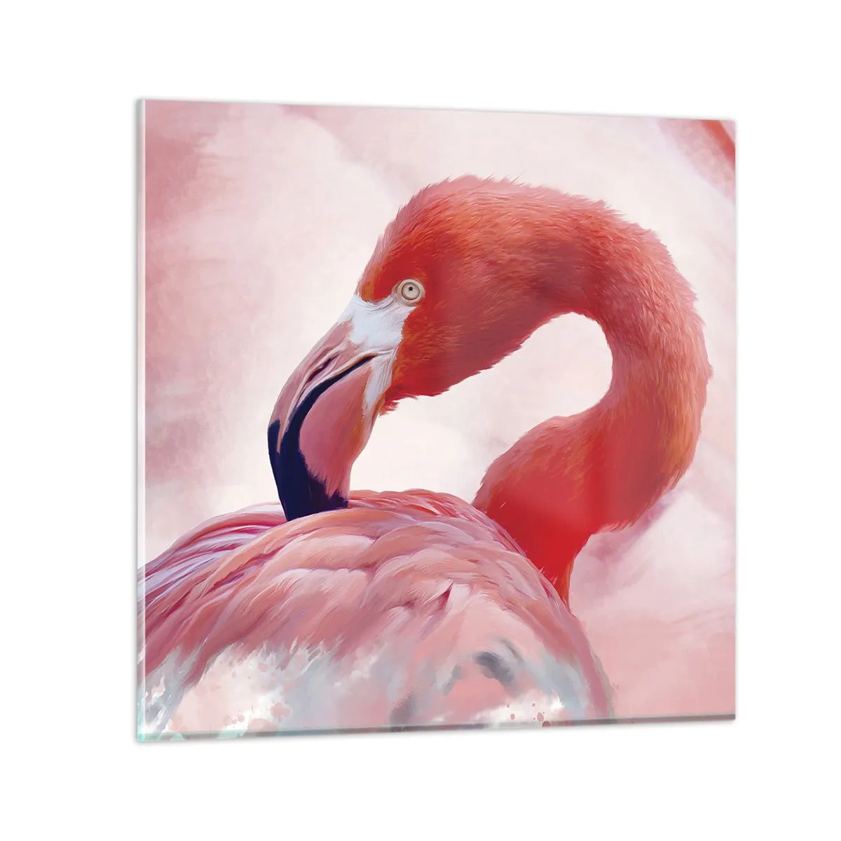 Quadro su vetro - Bellezza alata - 50x50 cm