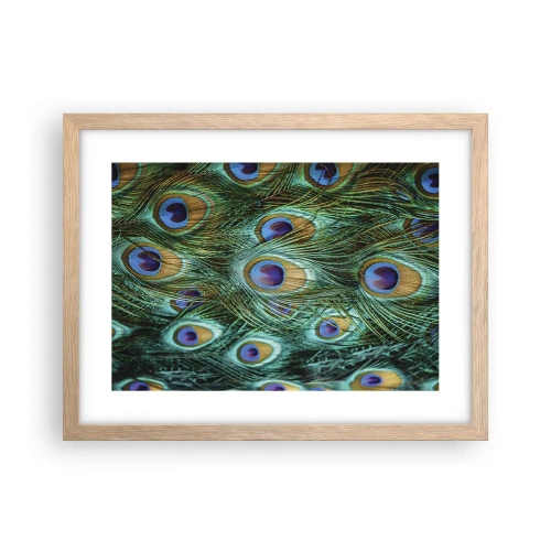 Poster in cornice rovere chiaro - Lo sguardo del pavone - 40x30 cm