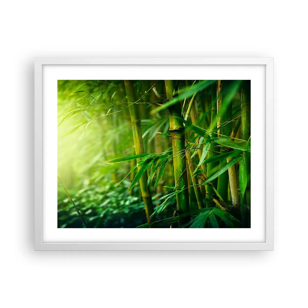 Poster in cornice bianca - Conoscere il verde in sé - 50x40 cm