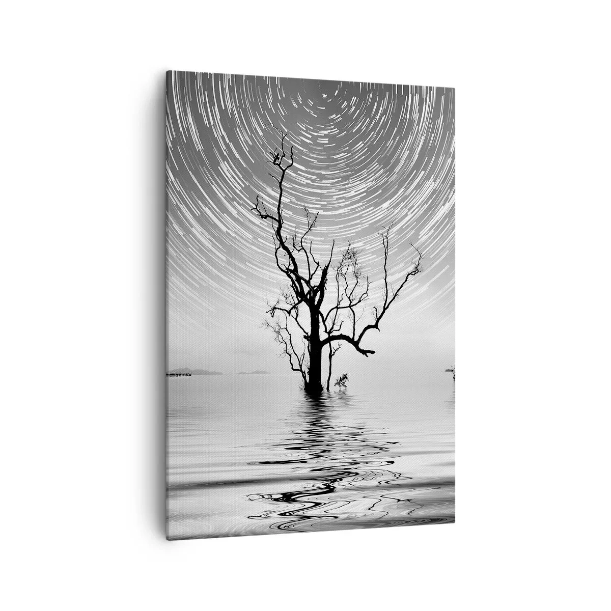 Quadro su tela - Stampe su Tela - Un albero nell'acqua sotto un cielo notturno con stelle in movimento - 70x100cm - Sinfonia della natura - Decorazione murale moderna per soggiorno e camera da letto ARTTOR