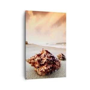 Quadro su tela - Stampe su Tela - Conchiglie sulla spiaggia al tramonto - 80x120cm - Esiliate dalle onde - Decorazione murale moderna per soggiorno e camera da letto ARTTOR