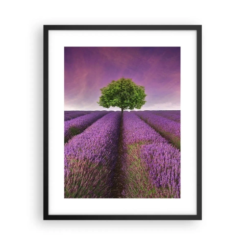 Poster in cornice nera - Sui campi di lavanda - 40x50 cm