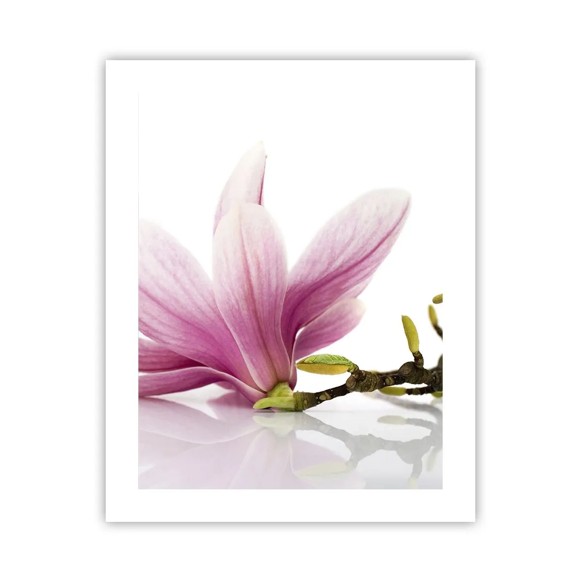 Poster - Delicati come un soffio di primavera - 40x50 cm
