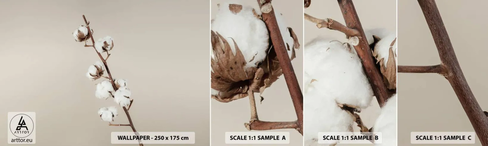 Campione Di Fotomurale Standard Eco - Alla fonte della morbidezza - Fiore di cotone, Natura, cotone - 100x30 cm