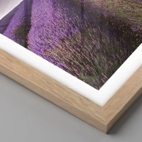 Rovere chiaro