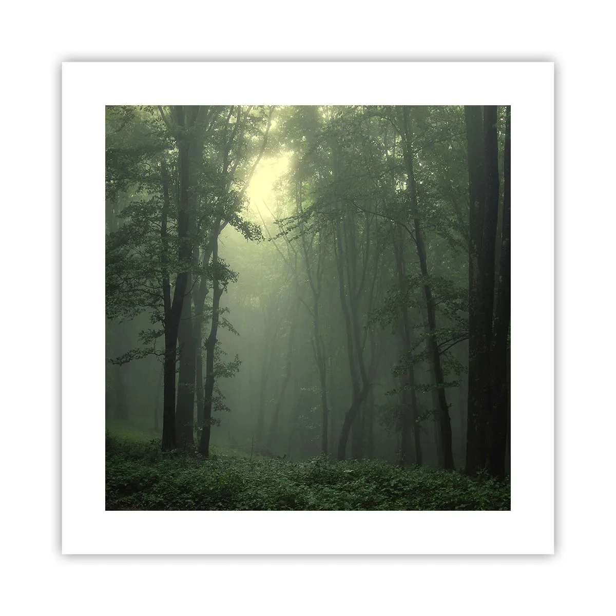 Poster - Prima che si svegli - 40x40 cm