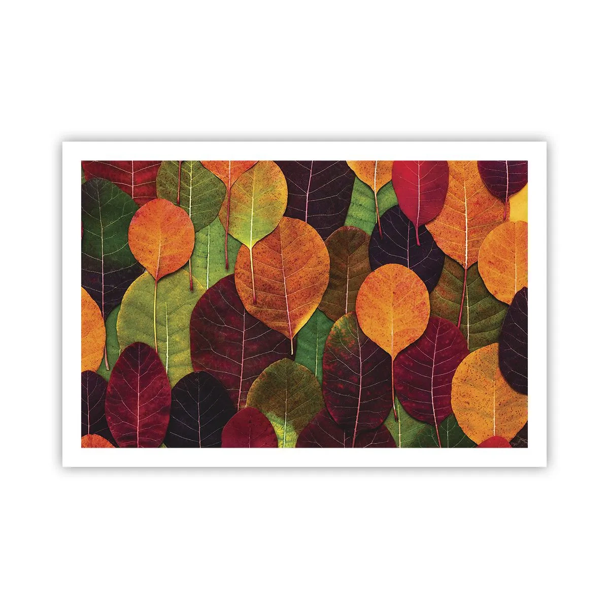Poster - Mosaico autunnale - 91x61 cm