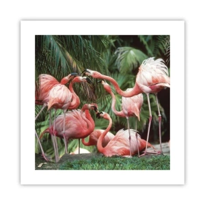 Poster - Pettegolezzi pomeridiani - 40x40 cm