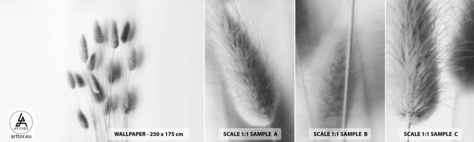 Campione Di Fotomurale Standard Eco - Erba soffice - Erba, Bianco e nero, Fiori - 100x30 cm
