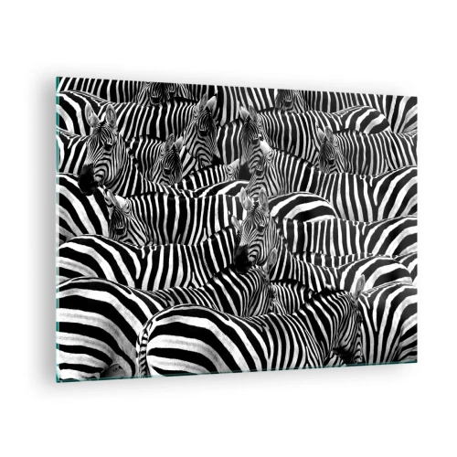 Quadro su vetro - Una mandria di zebre in bianco e nero - 70x50cm - Ritratto collettivo a strisce - Decorazione murale moderna per soggiorno e camera da letto ARTTOR