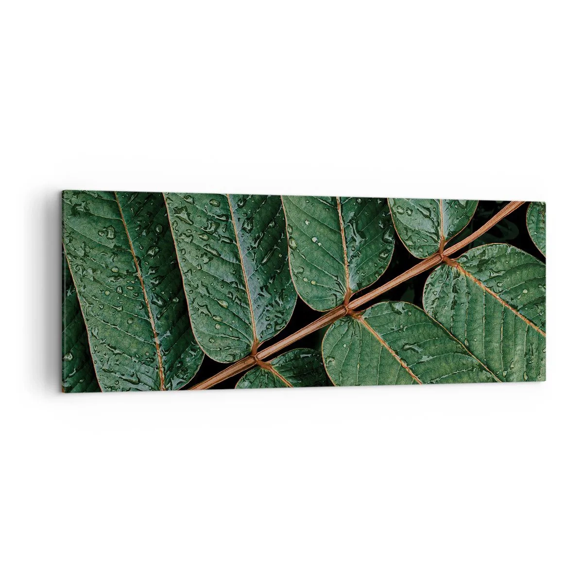 Quadro su tela - Stampe su Tela - Macro di foglie verdi con gocce di rugiada - 140x50cm - Al ritmo verde - Decorazione murale moderna per soggiorno e camera da letto ARTTOR