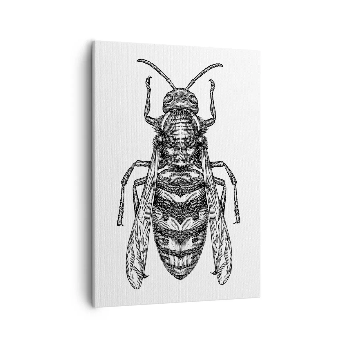 Quadro su tela - Stampe su Tela - Motivo di una vespa dei cartoni animati su sfondo bianco, in stile minimalista. - 50x70cm - Dal pianeta degli insetti - Decorazione murale moderna per soggiorno e camera da letto ARTTOR