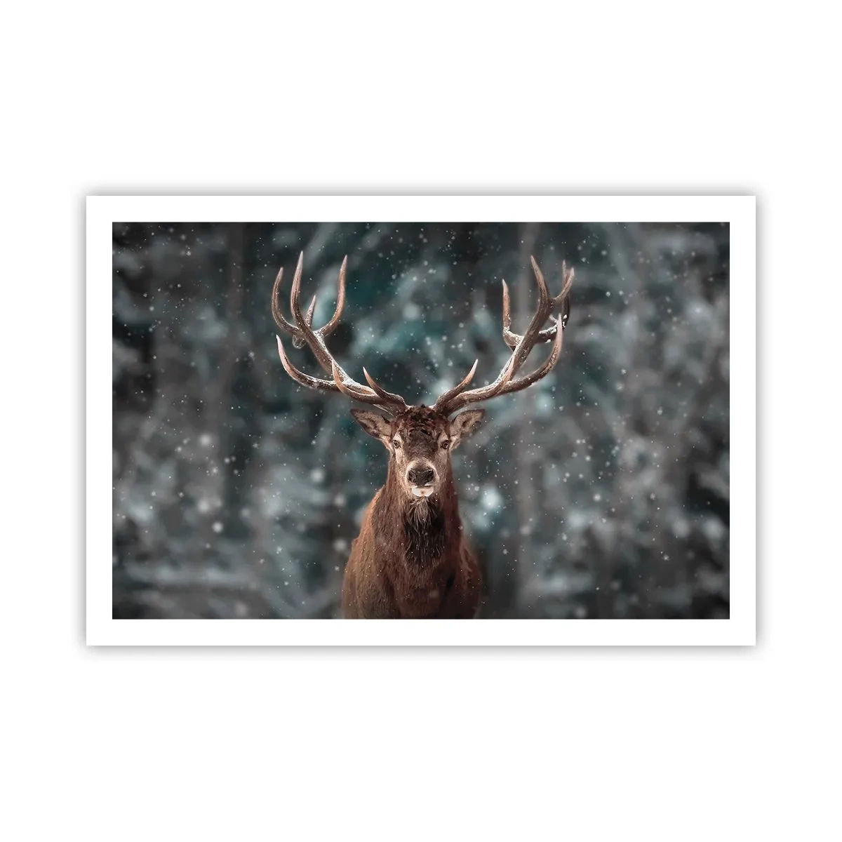 Poster - Il re del bosco incoronato - 91x61 cm