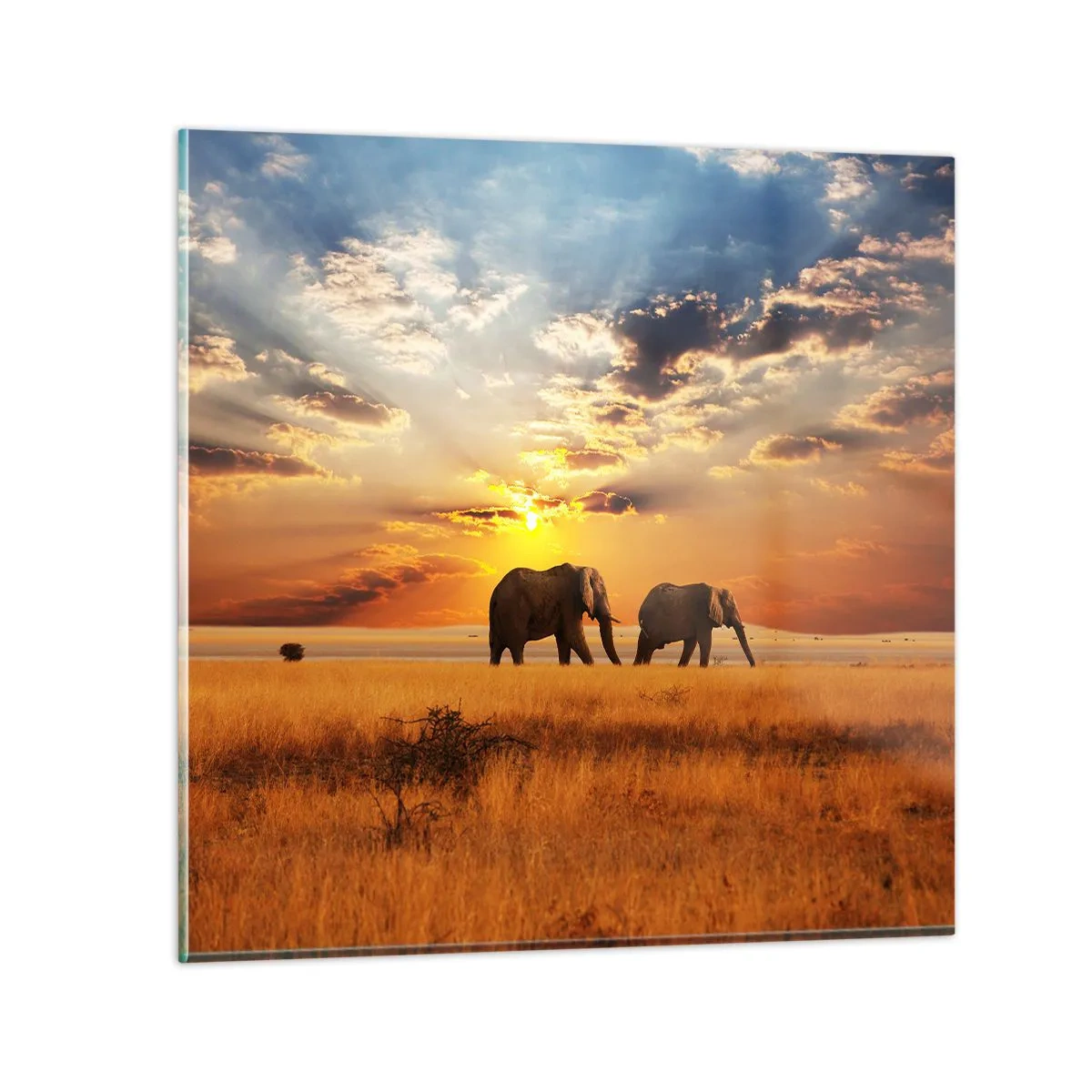 Quadro su vetro - Passeggiata familiare - 40x40 cm