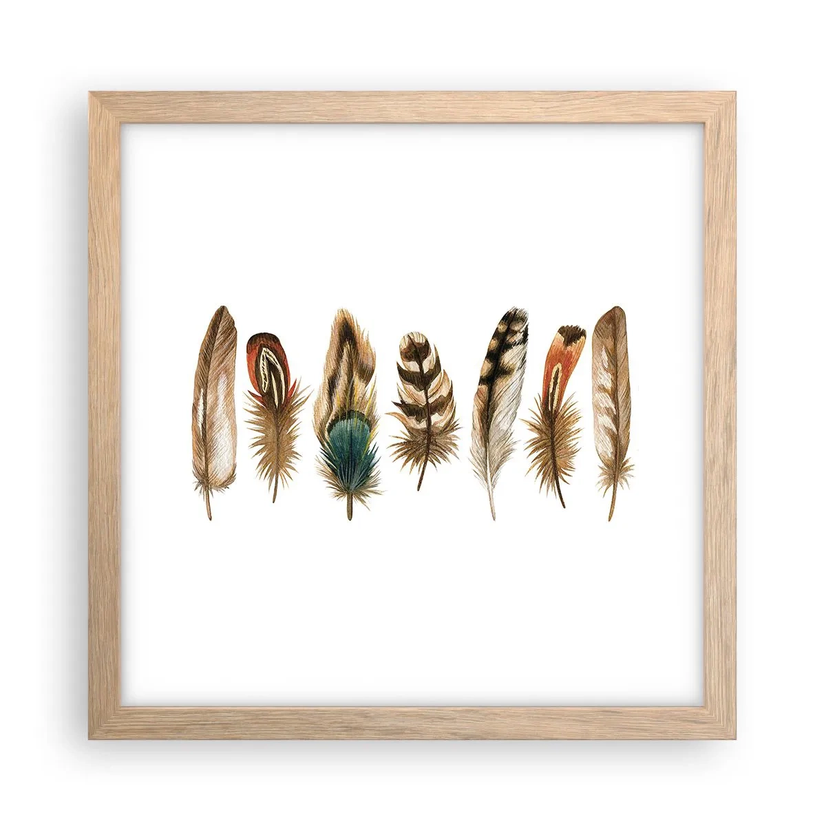 Poster in cornice rovere chiaro - Composizione di piume - 30x30 cm