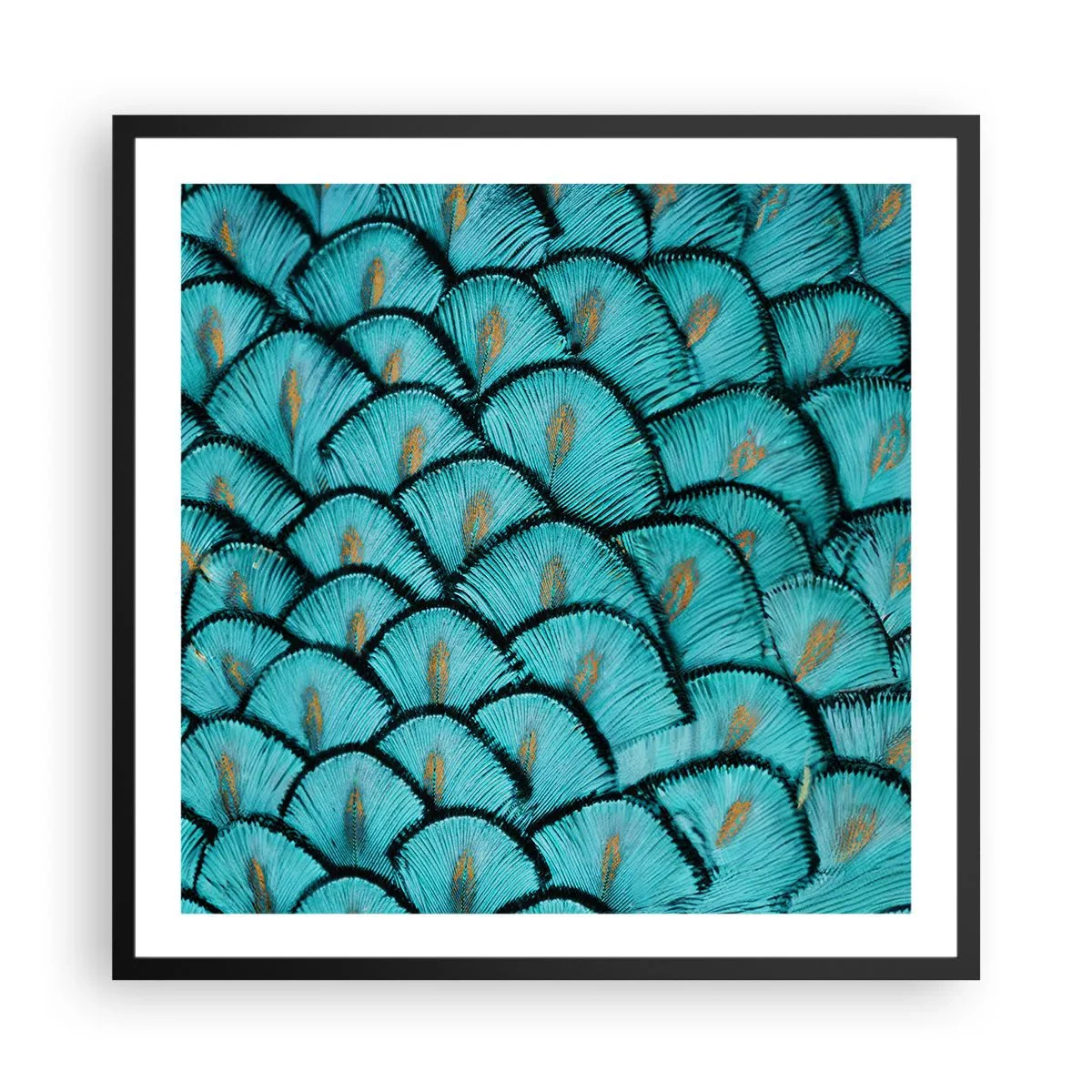 Poster in cornice nera - La grande festa delle piume - 60x60 cm