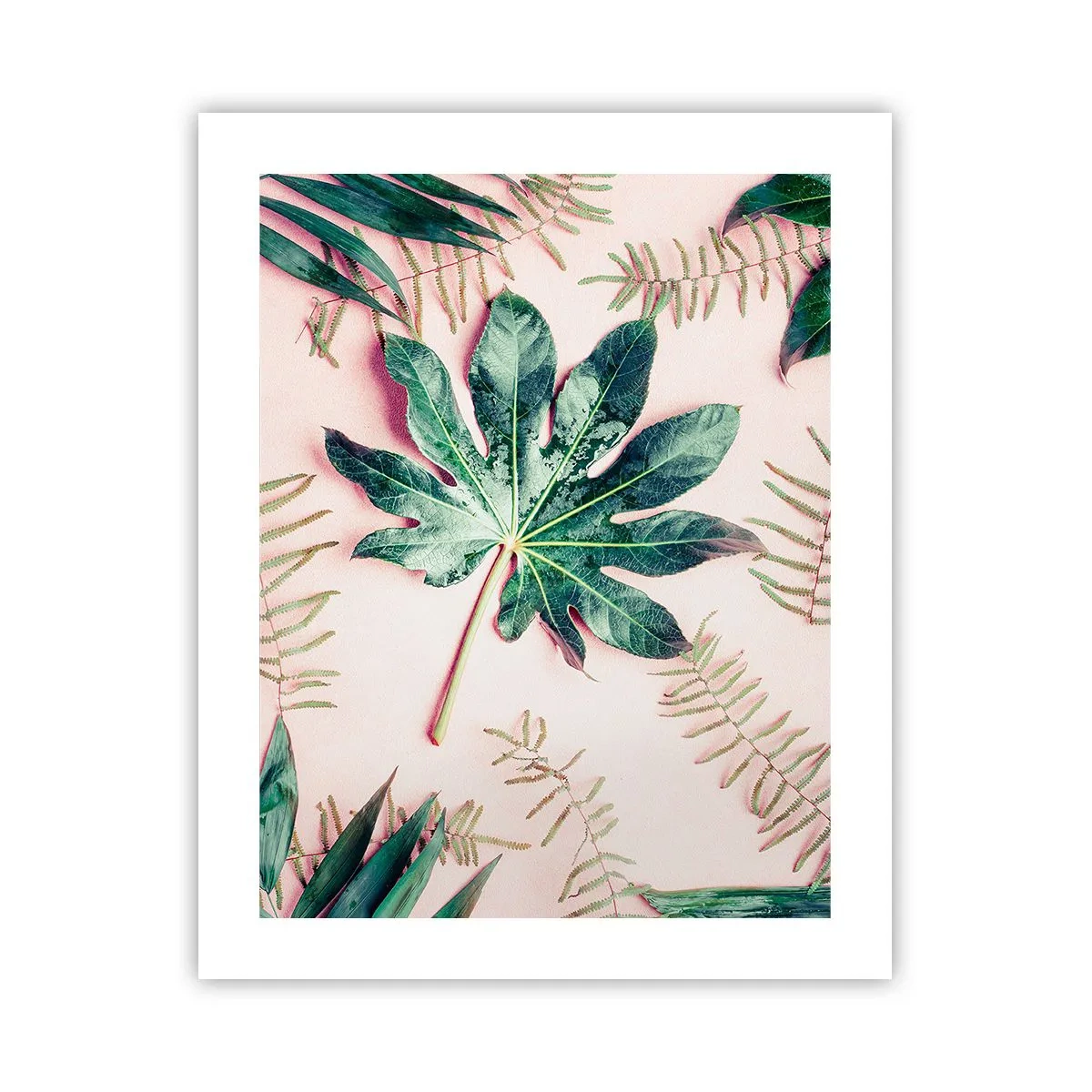 Poster - Studio di verde su sfondo rosa - 40x50 cm