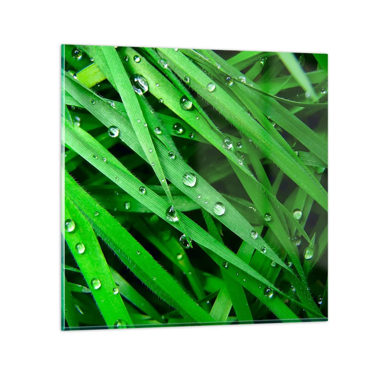 Quadro su vetro - Giocando con il verde - 40x40 cm
