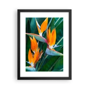 Poster in cornice nera - È un fiore o un uccello? - 30x40 cm