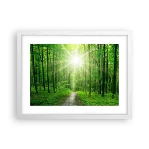 Poster in cornice bianca - Cattedrale verde - 40x30 cm