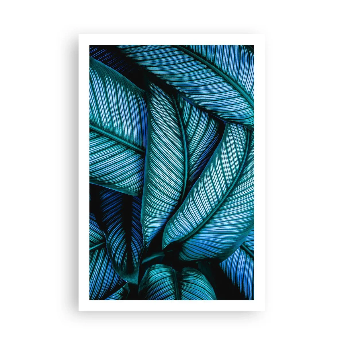 Poster - Le linee della vita - 61x91 cm