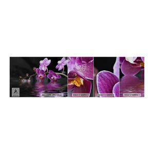 Campione di Fotomurale Adesivo Deluxe Sticker - La bellezza riflessa dai gigli - Fiori, Orchidea, Natura - 100x30 cm