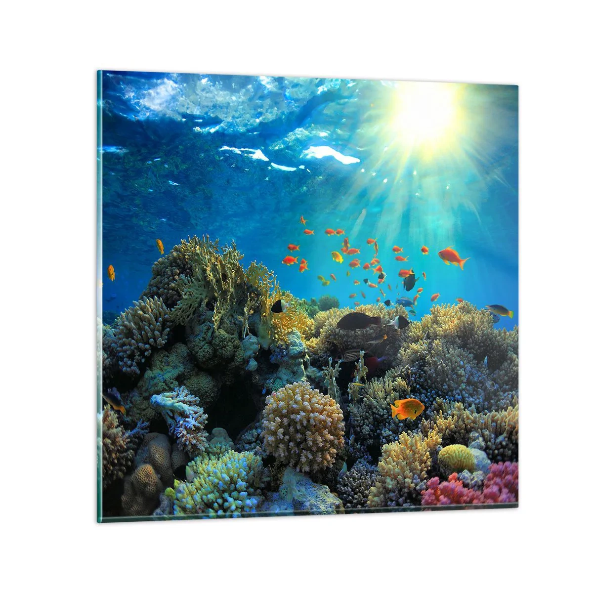 Quadro su vetro - Tesori sotto al mare - 40x40 cm