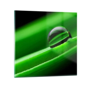 Quadro su vetro - La vita da vicino - 30x30 cm