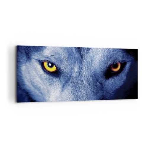 Quadro su tela - Stampe su Tela - Sguardo ipnotico - 100x40 cm