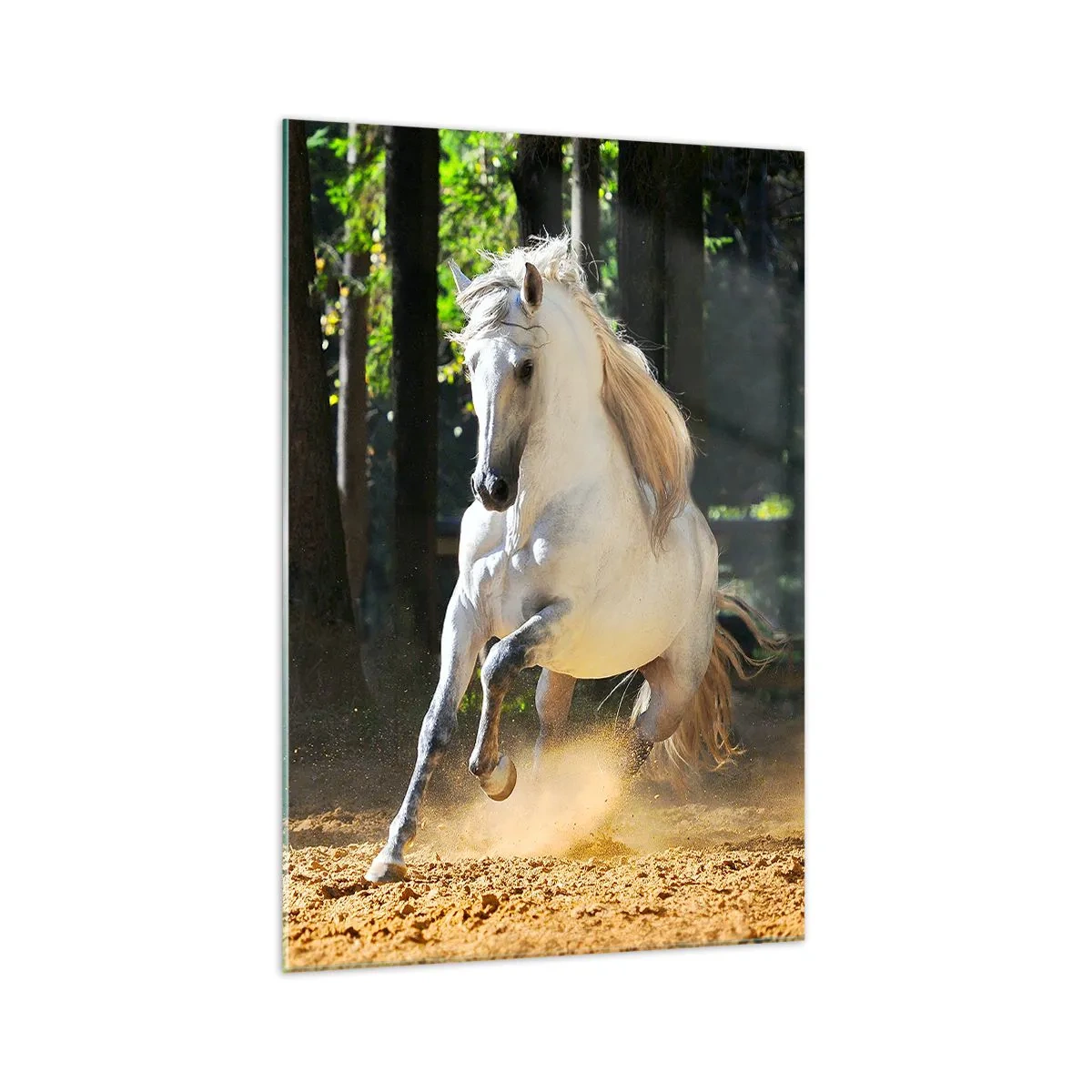 Quadro su vetro - Un cavallo bianco che galoppa attraverso una radura nella foresta - 70x100cm - Come nei racconti fantasy - Decorazione murale moderna per soggiorno e camera da letto ARTTOR