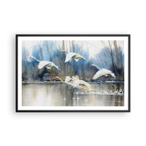 Poster in cornice nera - Come la favola dei cigni selvatici - 91x61 cm