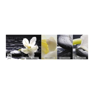 Campione di Fotomurale Premium Sand - Studio in bianco e nero - Fiori, Pietre, Orchidea - 100x30 cm