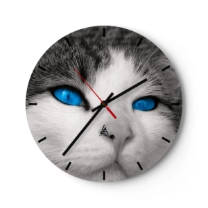 Orologio da parete - Orologio in Vetro - Primo piano del muso di un gatto con intensi occhi blu - 30x30cm - Insoliti occhi azzurri - Decorazione murale moderna per soggiorno, cucina e camera da letto ARTTOR