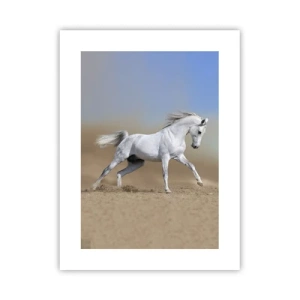 Poster - La più bella favola araba - 30x40 cm