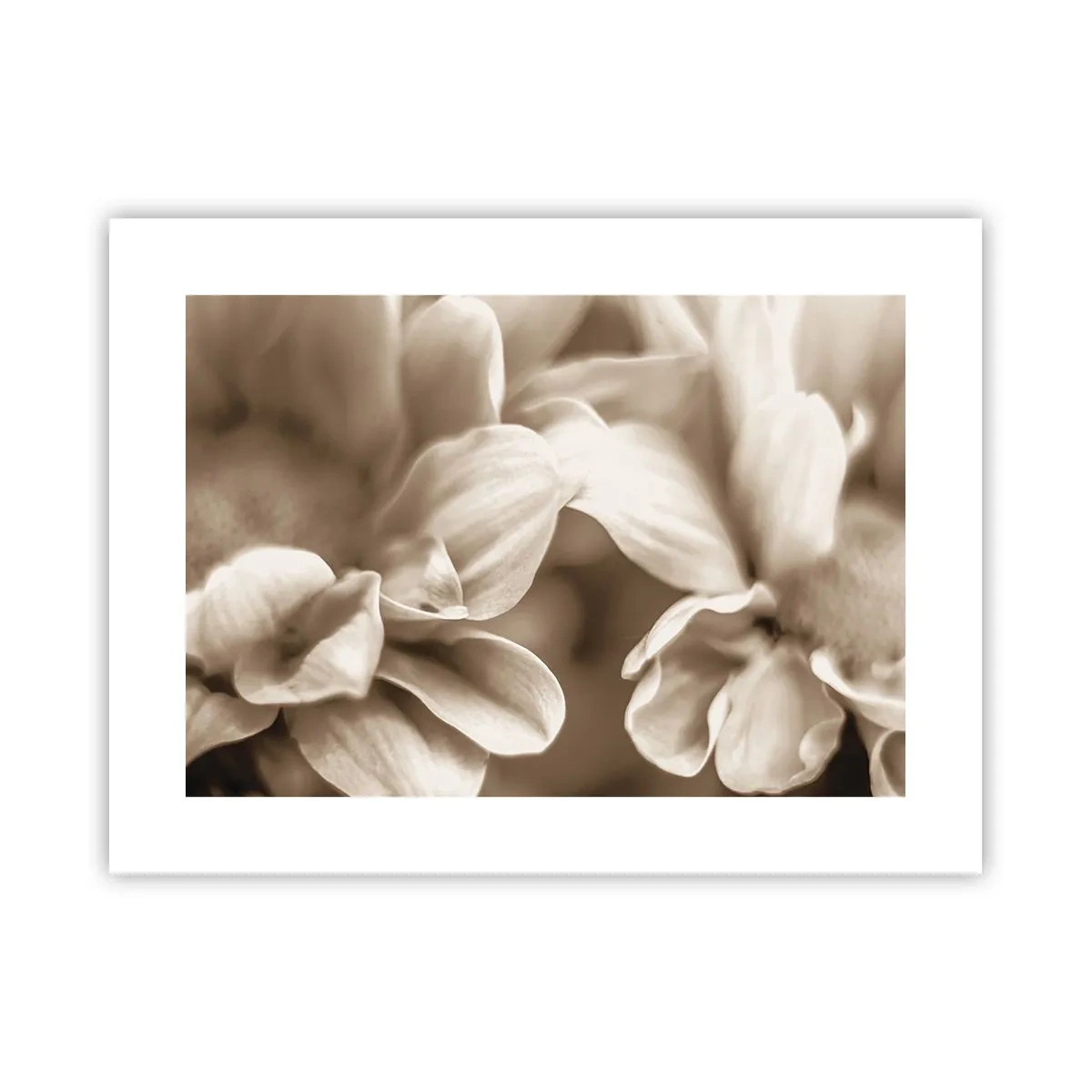 Poster - Mite come un sorriso - 40x30 cm