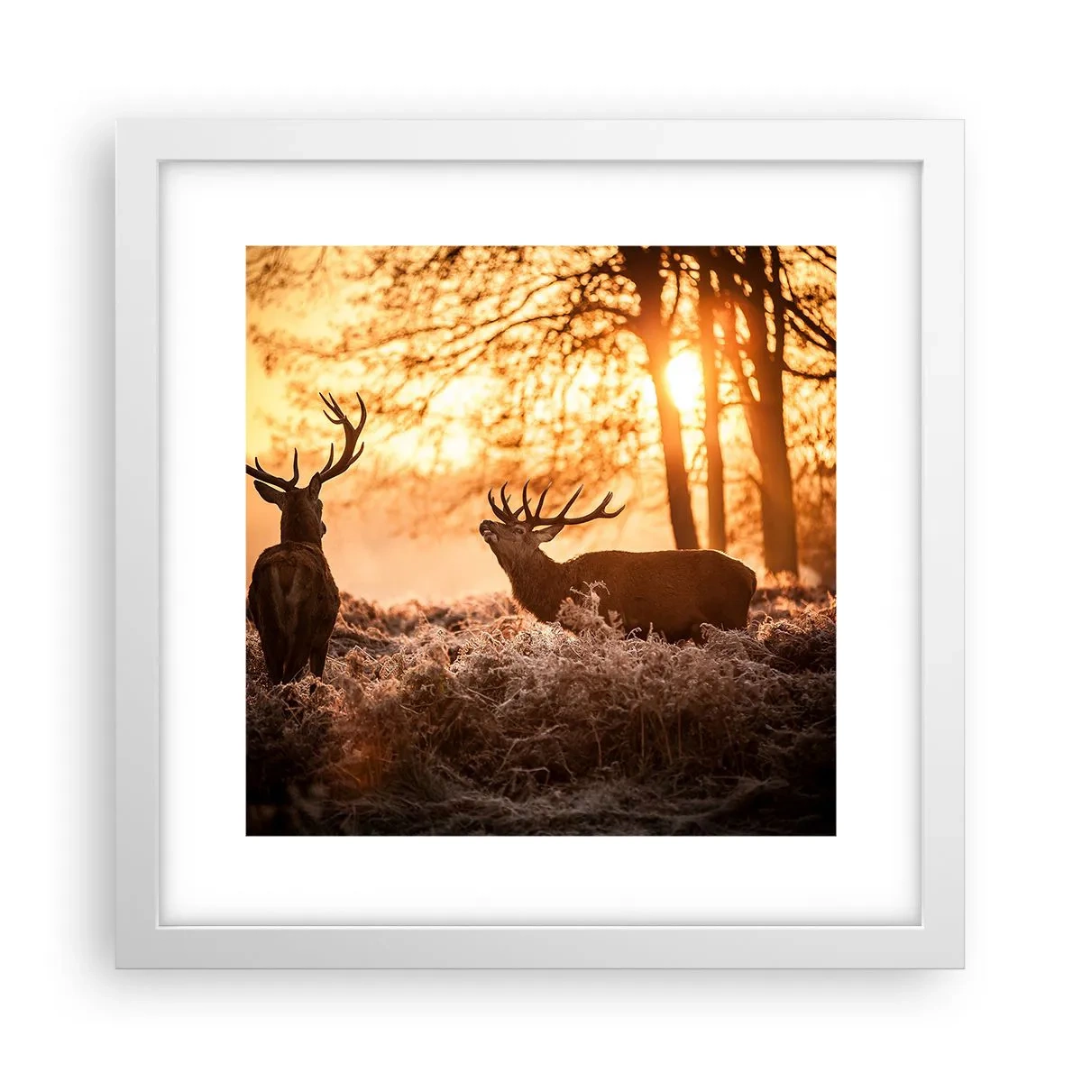 Poster in cornice bianca - Il sogno del cacciatore - 30x30 cm