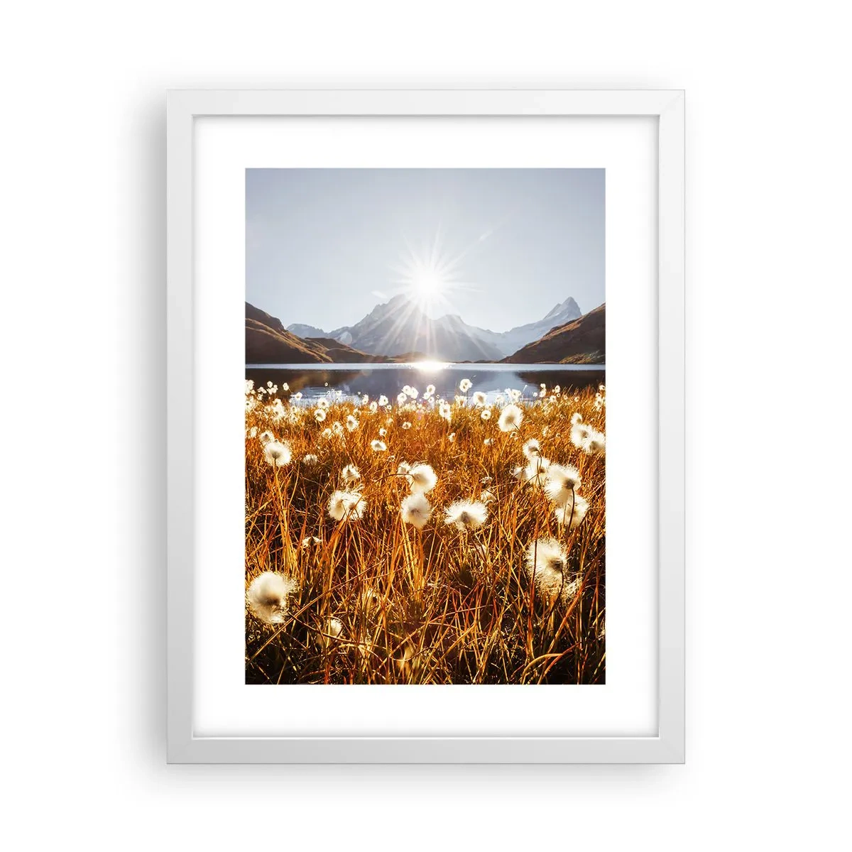 Poster in cornice bianca - Durezza delle pietre, morbidezza dell'erba - 30x40 cm