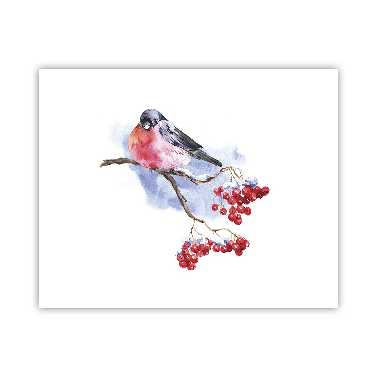 Poster - L'inverno a colori - 50x40 cm