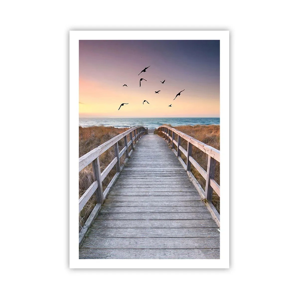 Poster - Spazio per volare - 61x91 cm