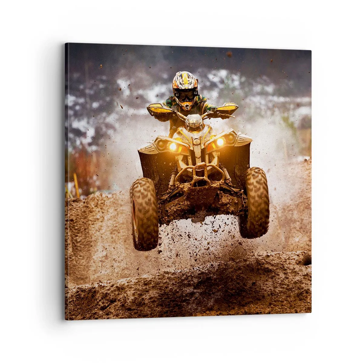 Quadro su tela - Stampe su Tela - No risk no fun - 70x70 cm